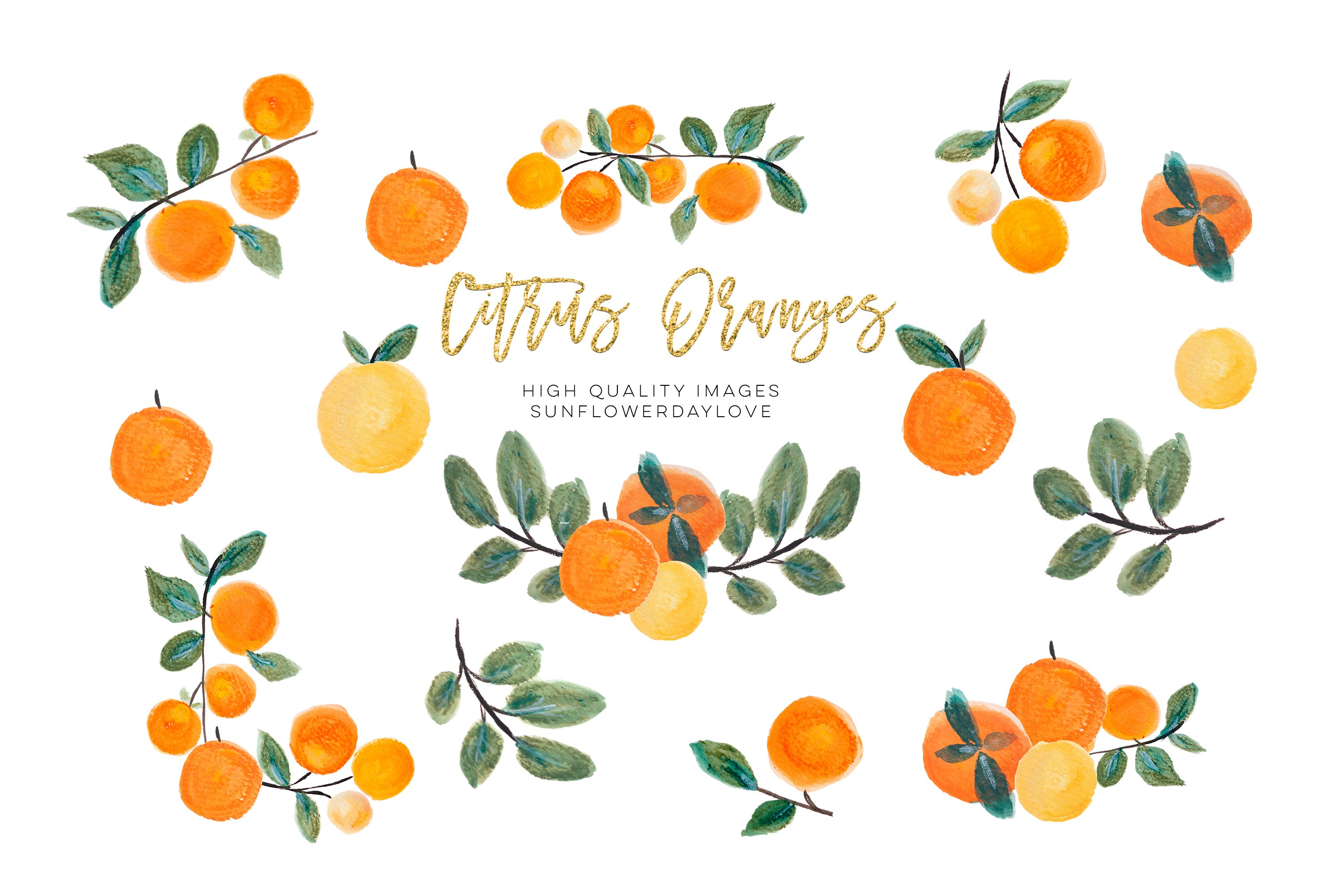 Detail Oranges Clipart Nomer 48