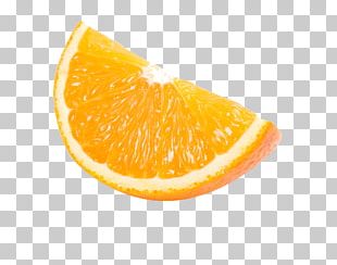 Detail Oranges Png Nomer 39
