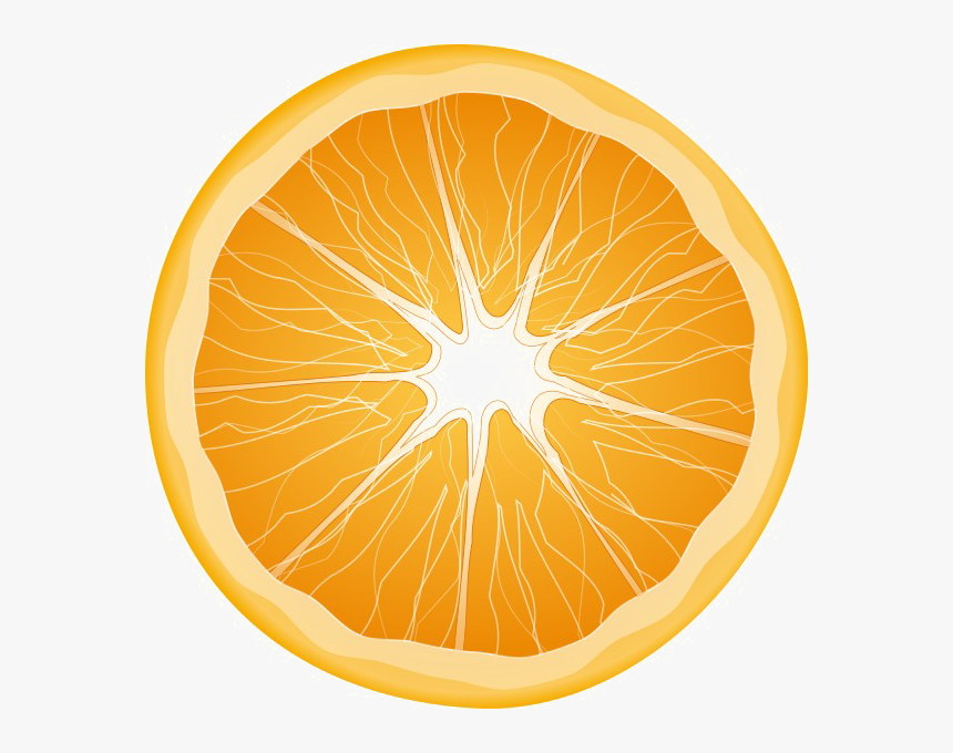 Detail Oranges Transparent Background Nomer 25