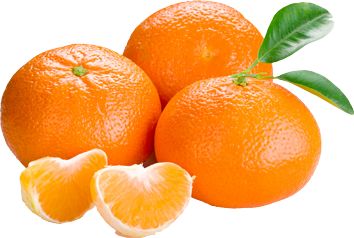 Detail Oranges Transparent Background Nomer 36