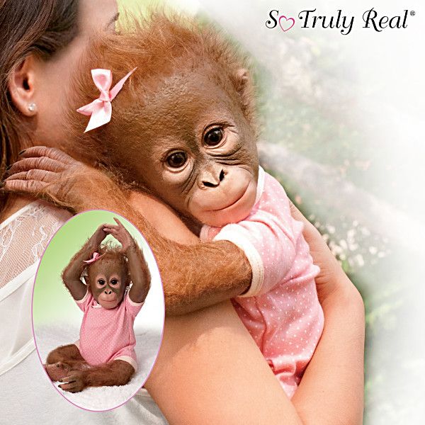 Detail Orangutan Baby Doll Nomer 14