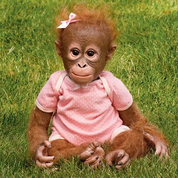 Detail Orangutan Baby Doll Nomer 3