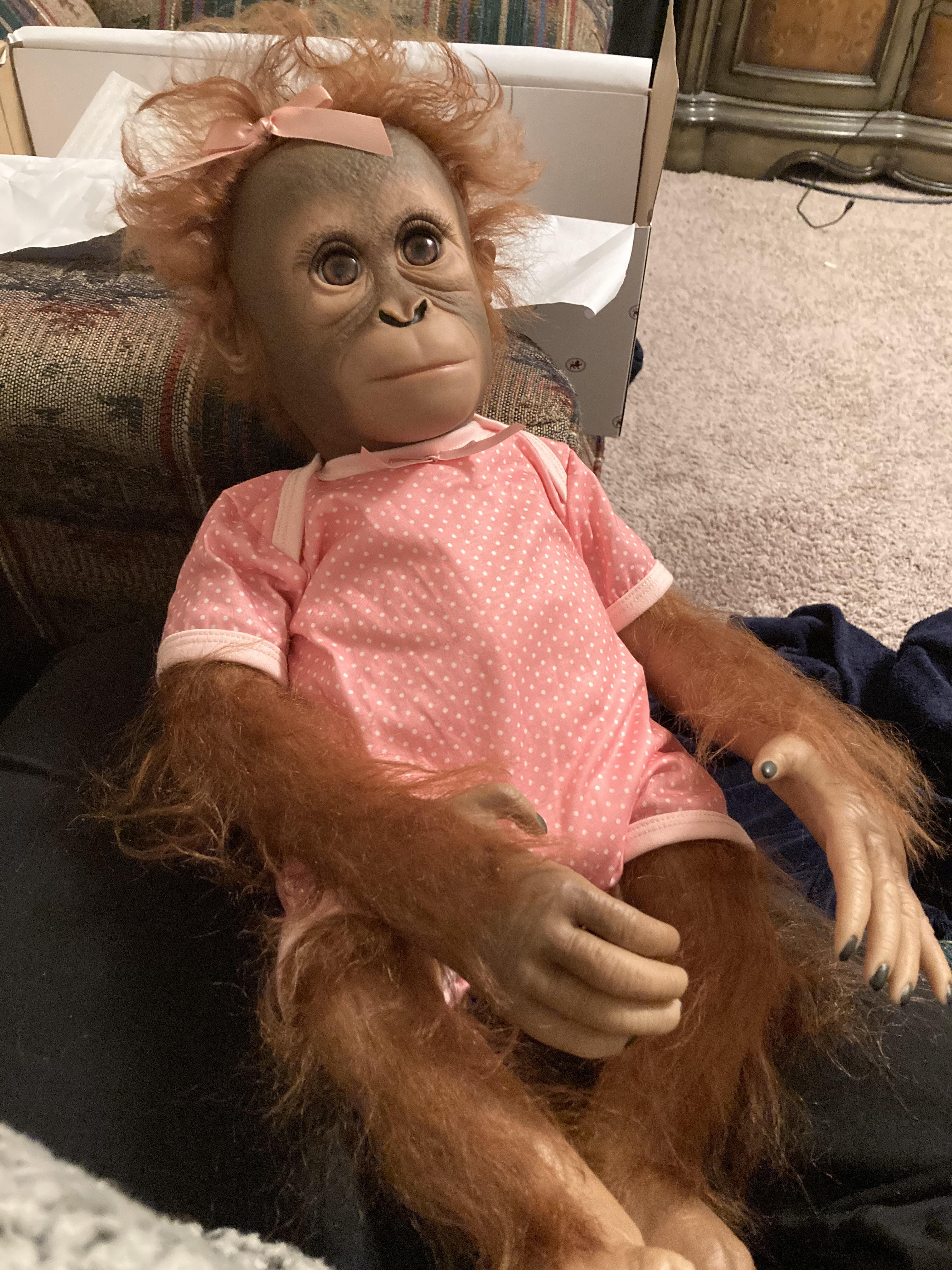 Detail Orangutan Baby Doll Nomer 26