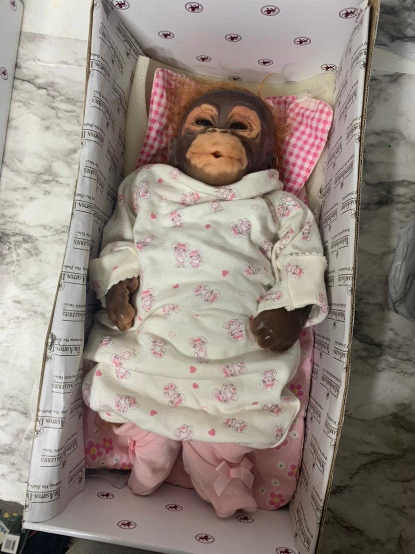 Detail Orangutan Baby Doll Nomer 33