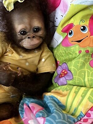 Detail Orangutan Baby Doll Nomer 34