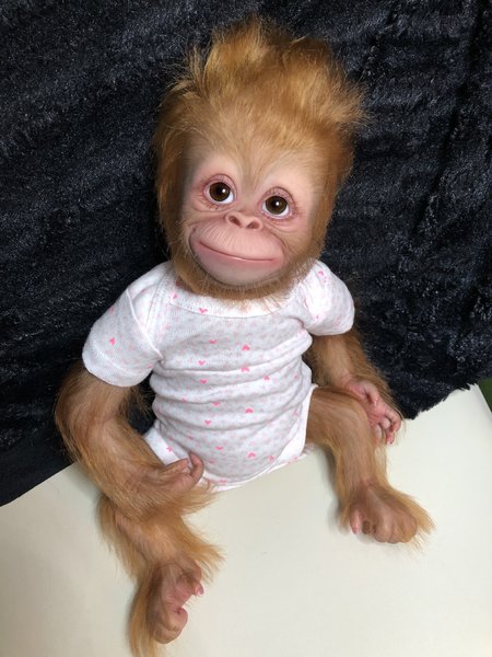 Detail Orangutan Baby Doll Nomer 40