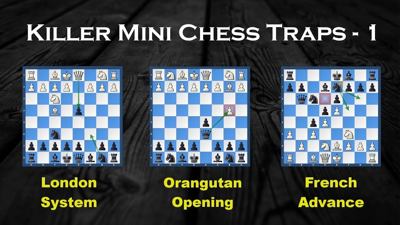 Detail Orangutan Chess Nomer 10