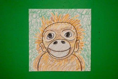 Detail Orangutan Drawings Nomer 34