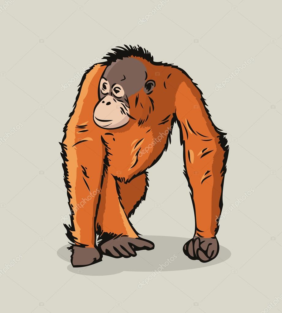 Detail Orangutan Drawings Nomer 36