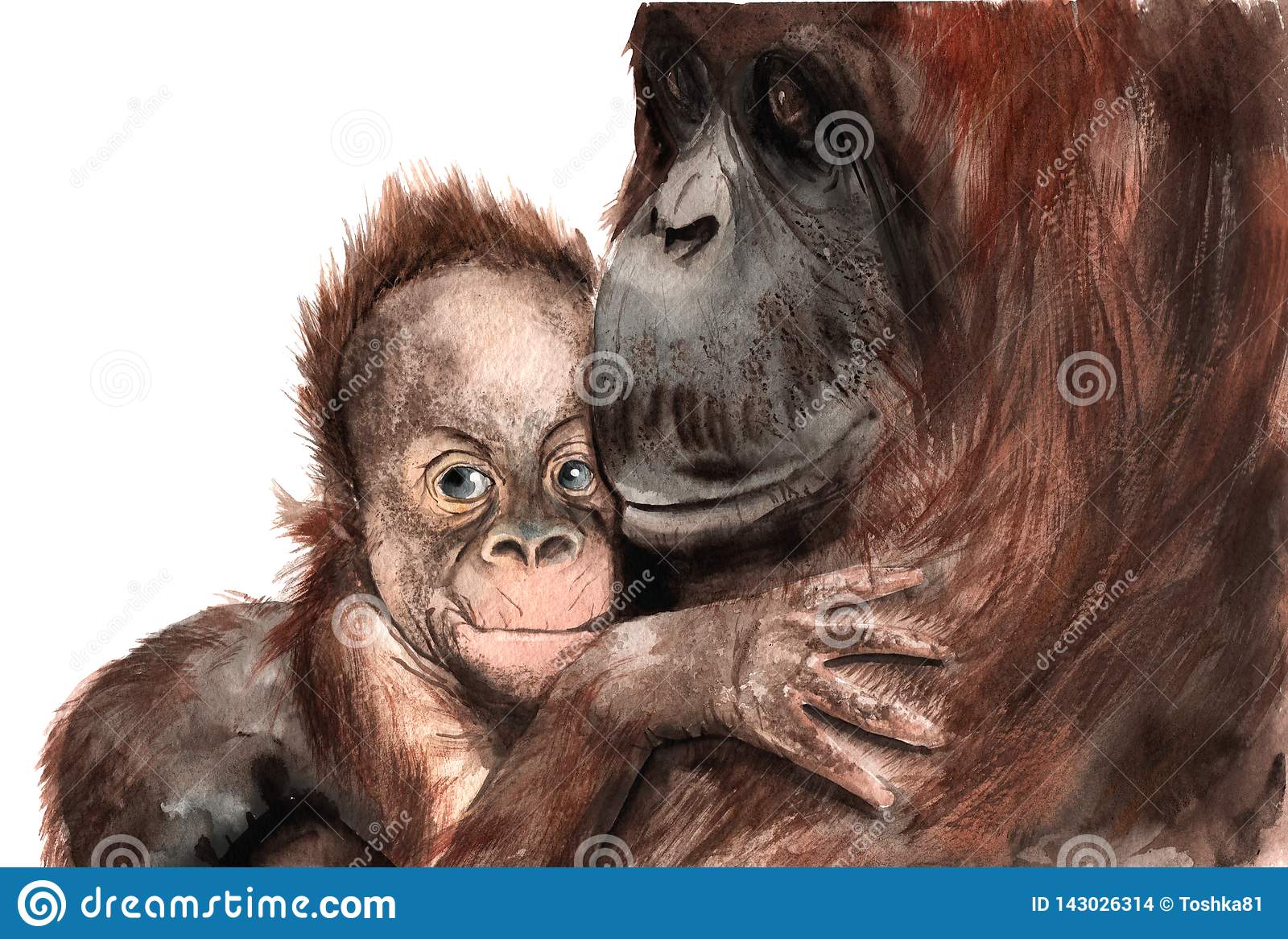 Detail Orangutan Drawings Nomer 39