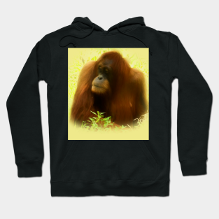 Detail Orangutan Hoodie Nomer 22