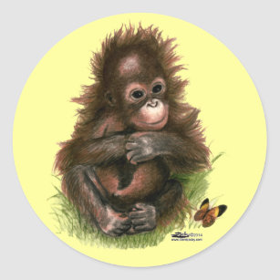Detail Orangutan Stickers Nomer 14