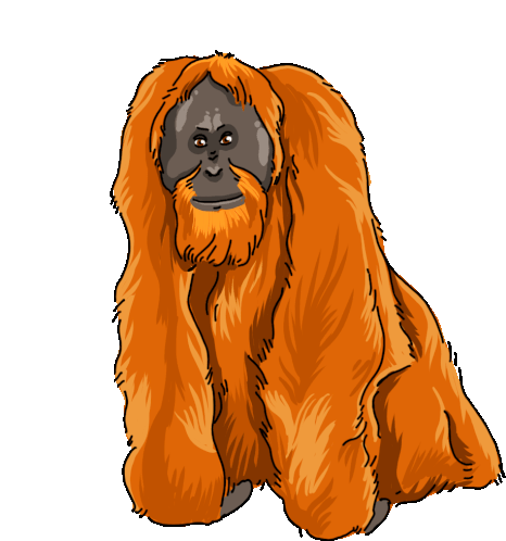 Detail Orangutan Stickers Nomer 15
