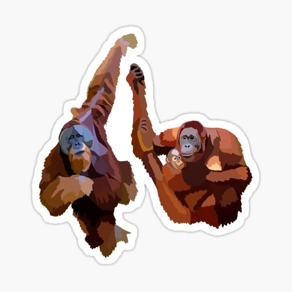 Detail Orangutan Stickers Nomer 19
