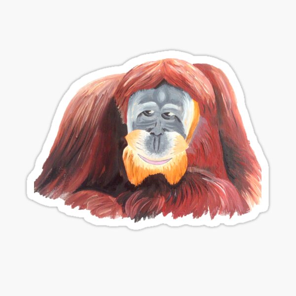 Detail Orangutan Stickers Nomer 3