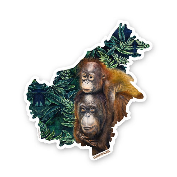 Detail Orangutan Stickers Nomer 4