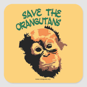 Detail Orangutan Stickers Nomer 29