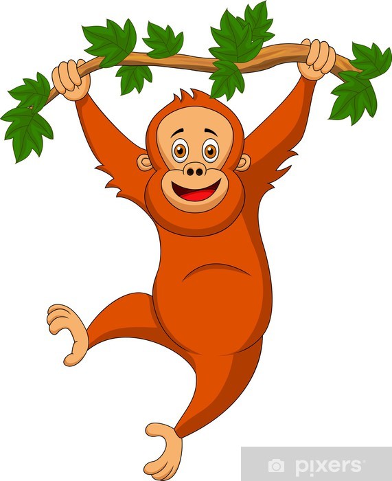 Detail Orangutan Stickers Nomer 37