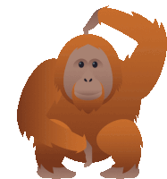 Detail Orangutan Stickers Nomer 48