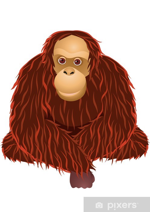 Detail Orangutan Stickers Nomer 52