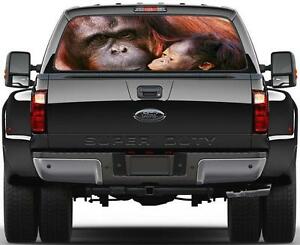 Detail Orangutan Stickers Nomer 57