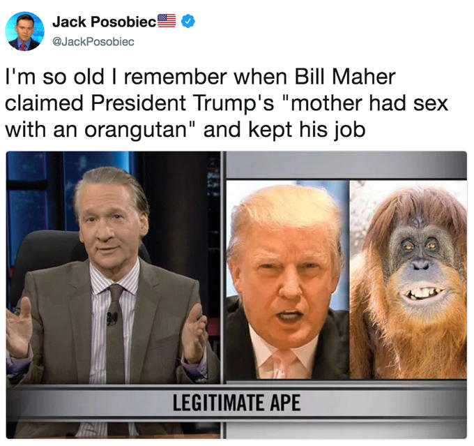 Detail Orangutan Trump Meme Nomer 42