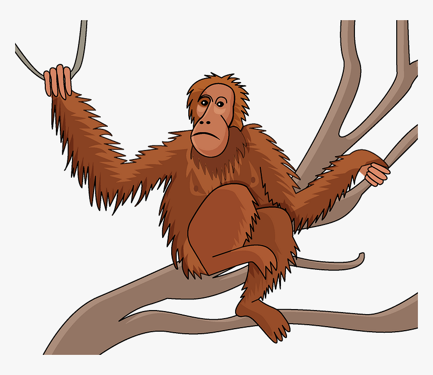 Detail Orangutans Clipart Nomer 16