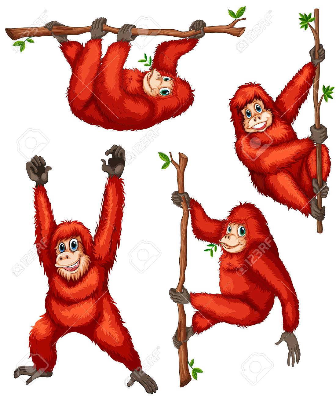 Detail Orangutans Clipart Nomer 20