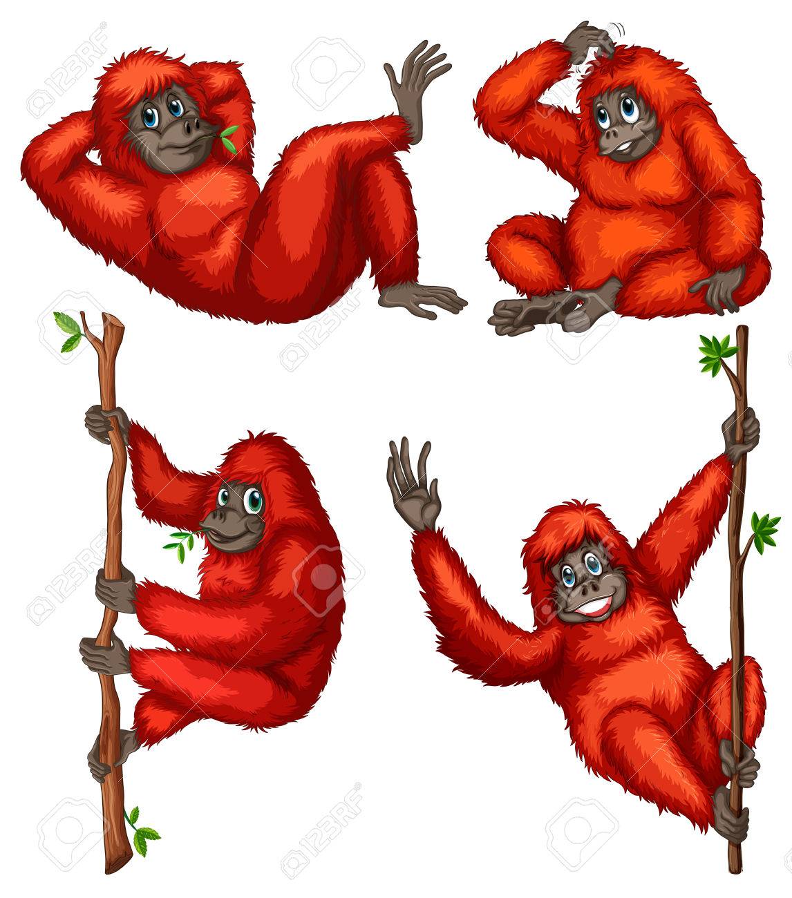 Detail Orangutans Clipart Nomer 21