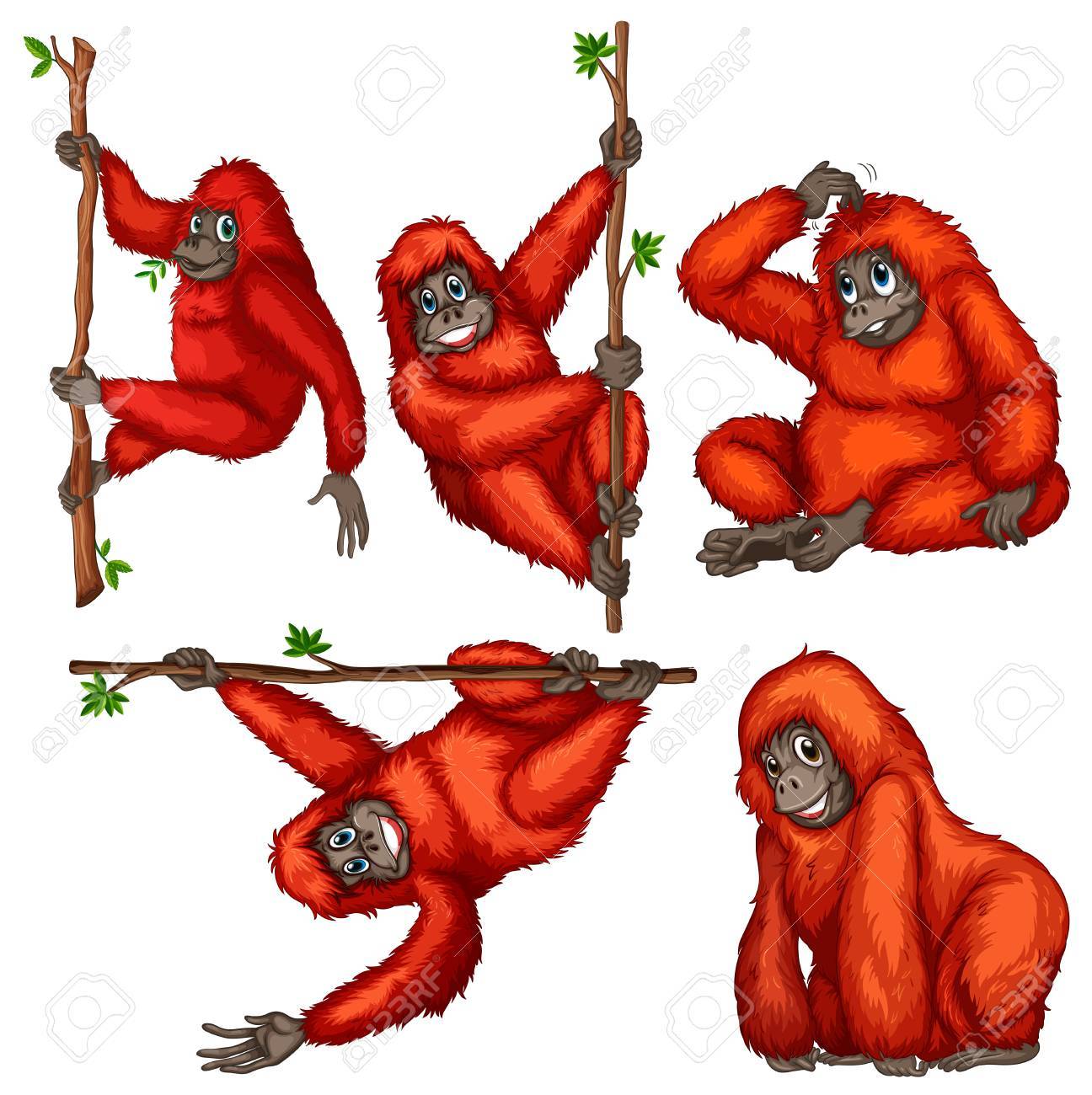 Detail Orangutans Clipart Nomer 25