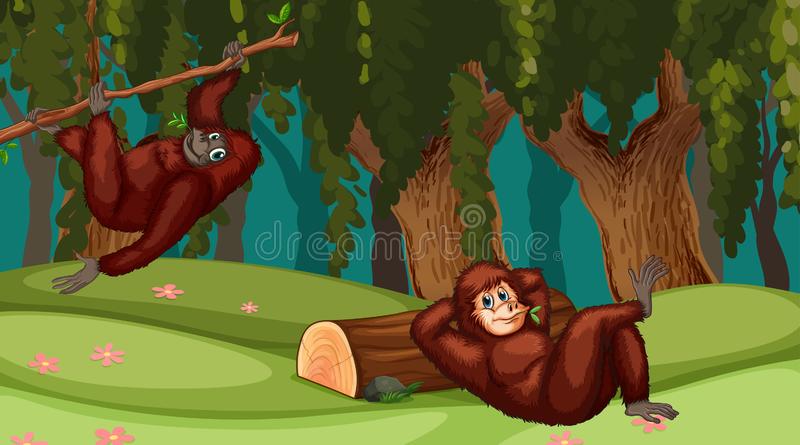 Detail Orangutans Clipart Nomer 45