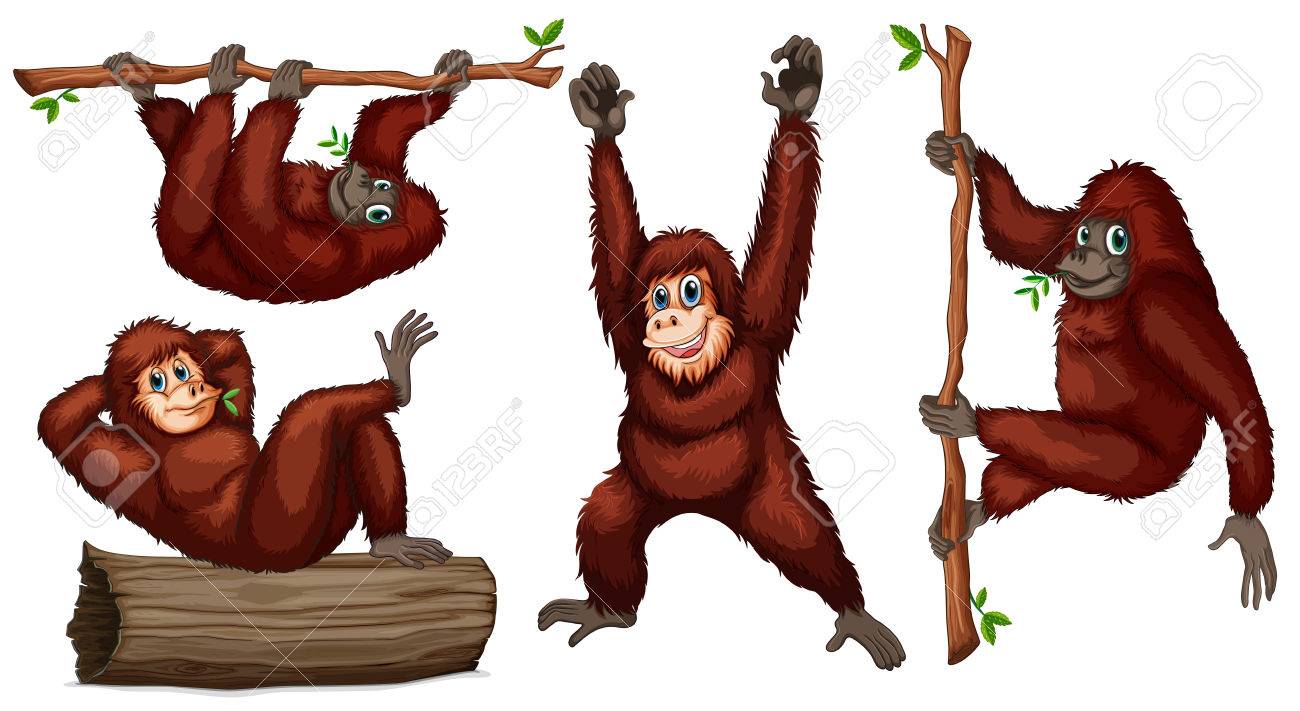 Detail Orangutans Clipart Nomer 9