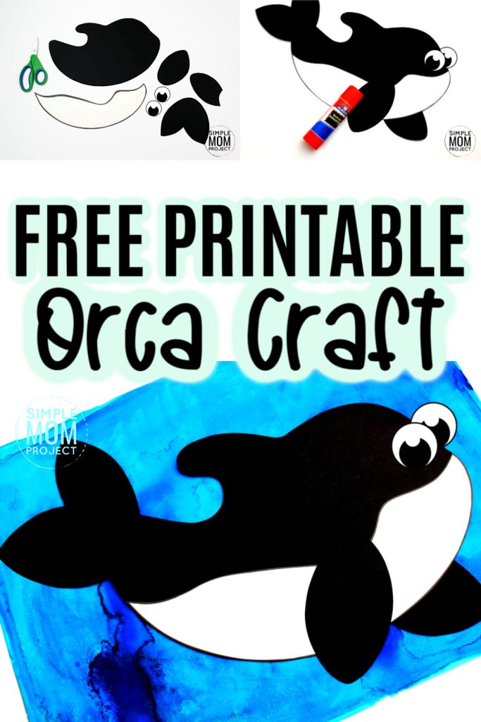 Detail Orca Images Free Nomer 38