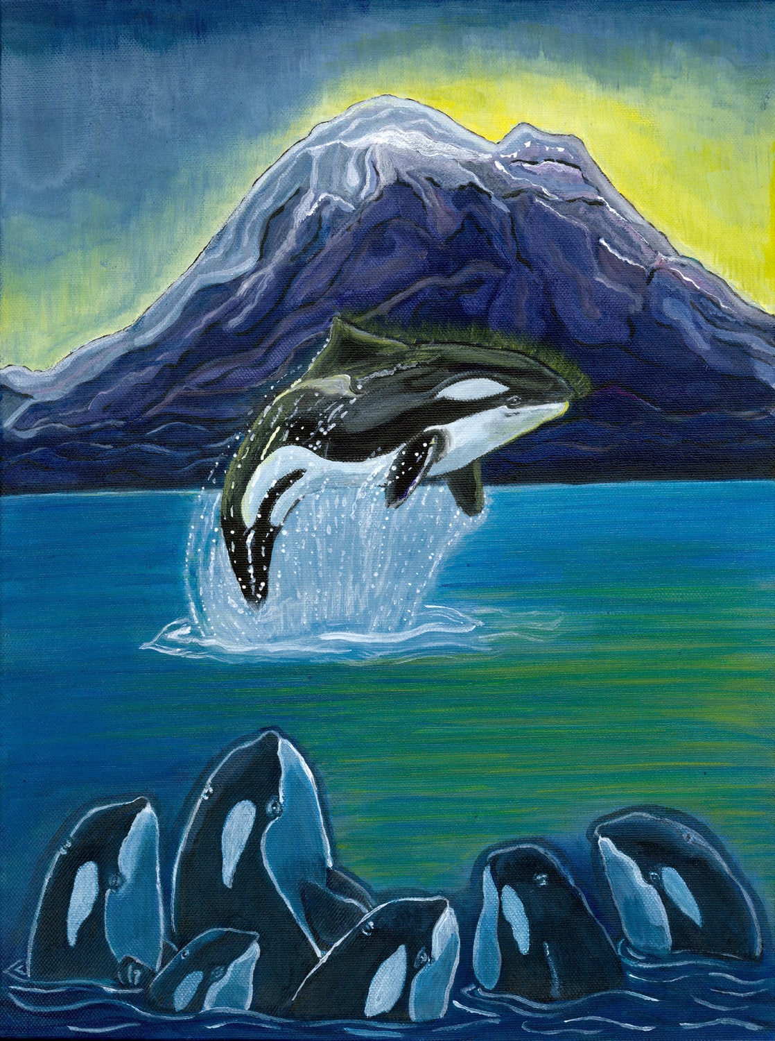 Detail Orca Images Free Nomer 48