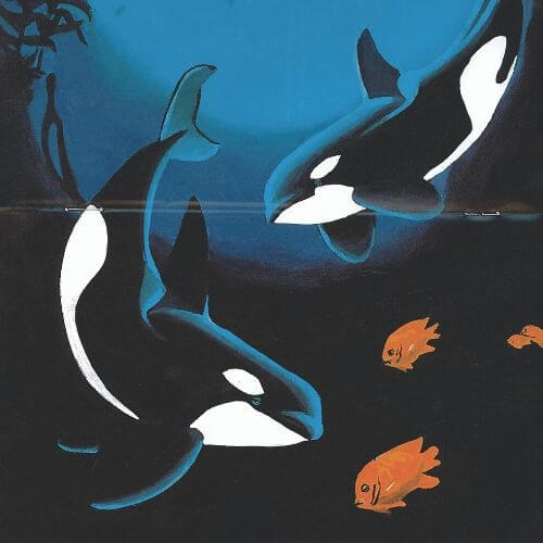 Detail Orca Images Free Nomer 51