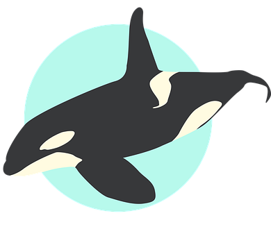 Detail Orca Images Free Nomer 55