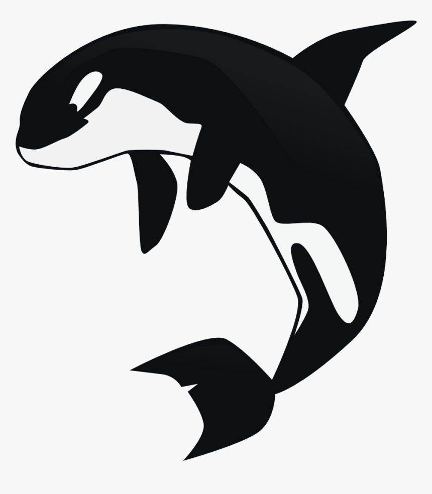 Detail Orca Transparent Background Nomer 13