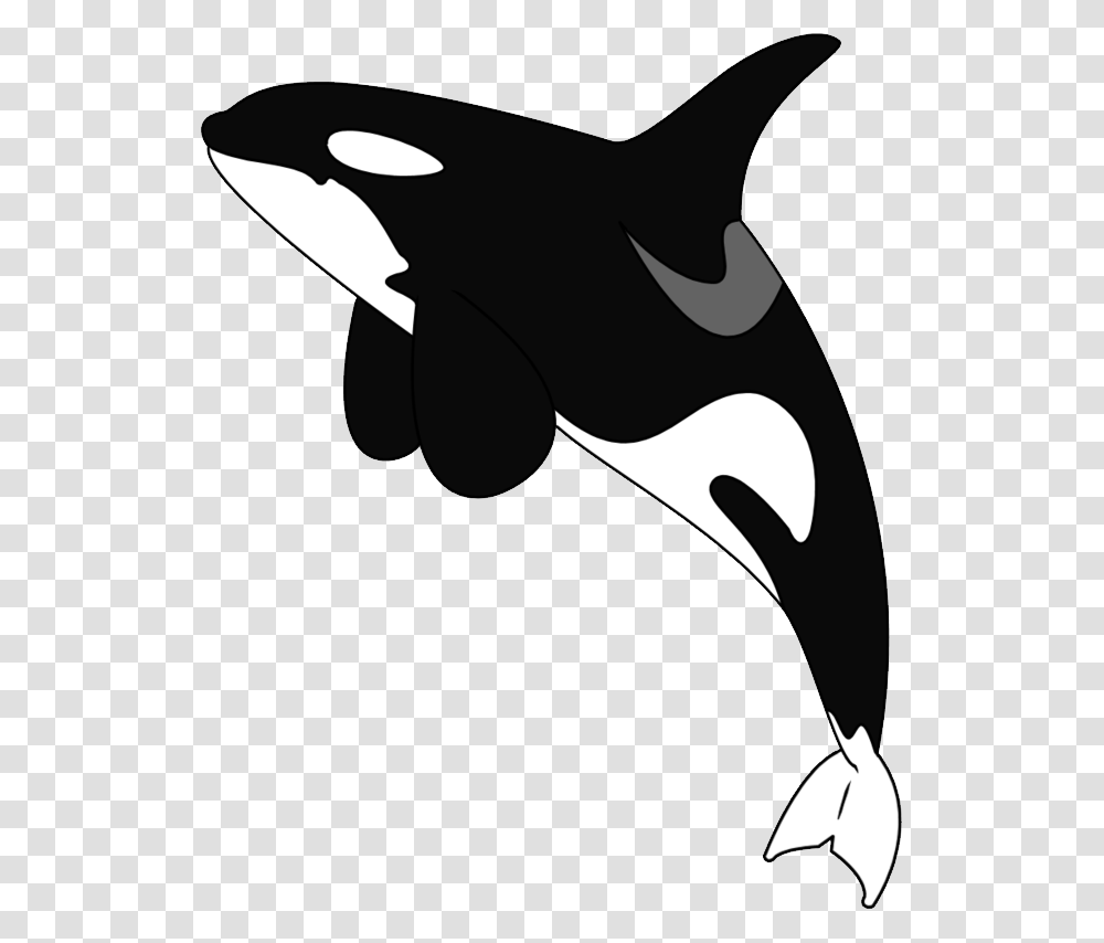 Detail Orca Transparent Background Nomer 14