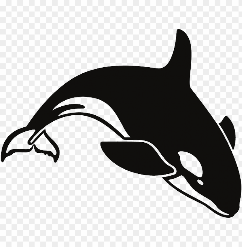 Detail Orca Transparent Background Nomer 17