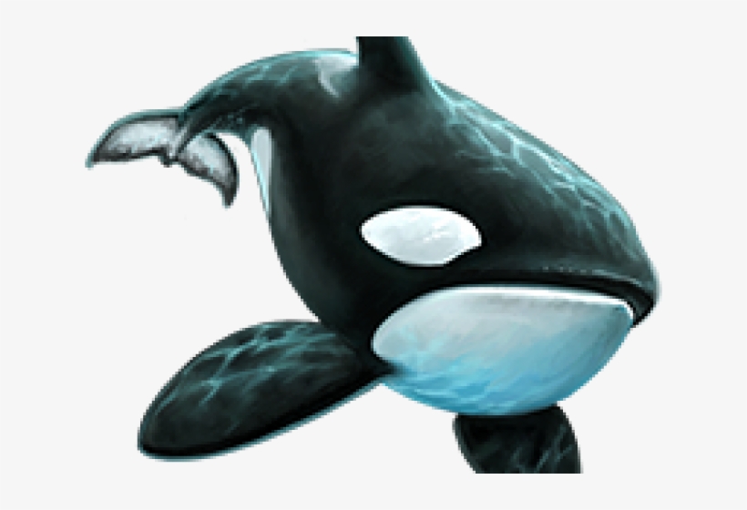 Detail Orca Transparent Background Nomer 19