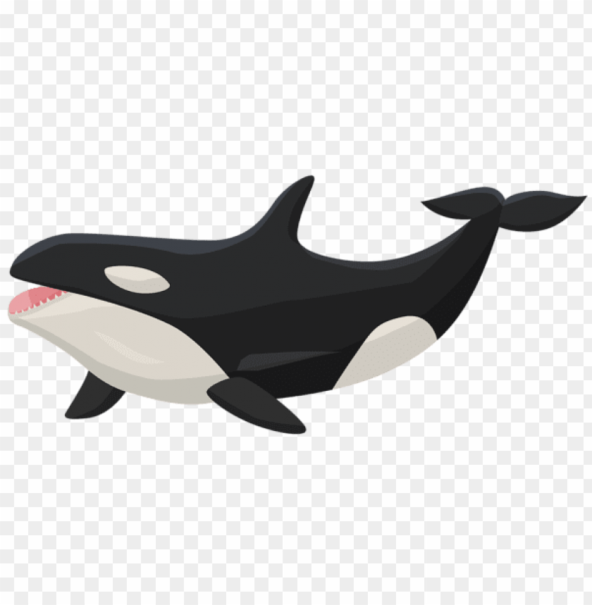 Detail Orca Transparent Background Nomer 28