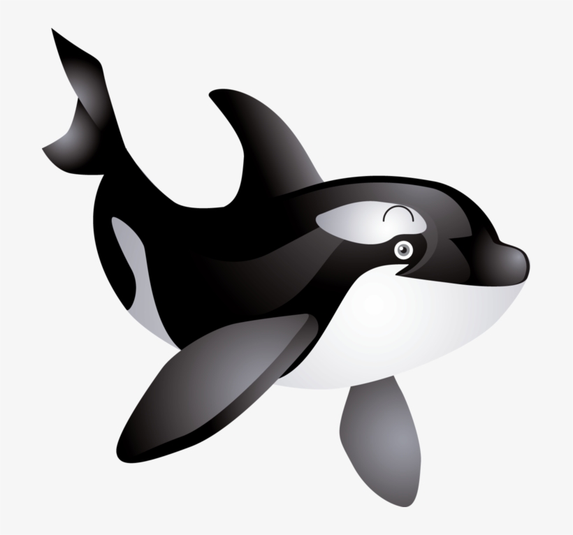 Detail Orca Transparent Background Nomer 49