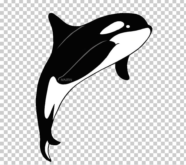 Detail Orca Transparent Background Nomer 56