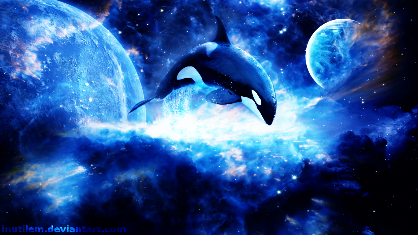 Detail Orca Wallpaper Nomer 22