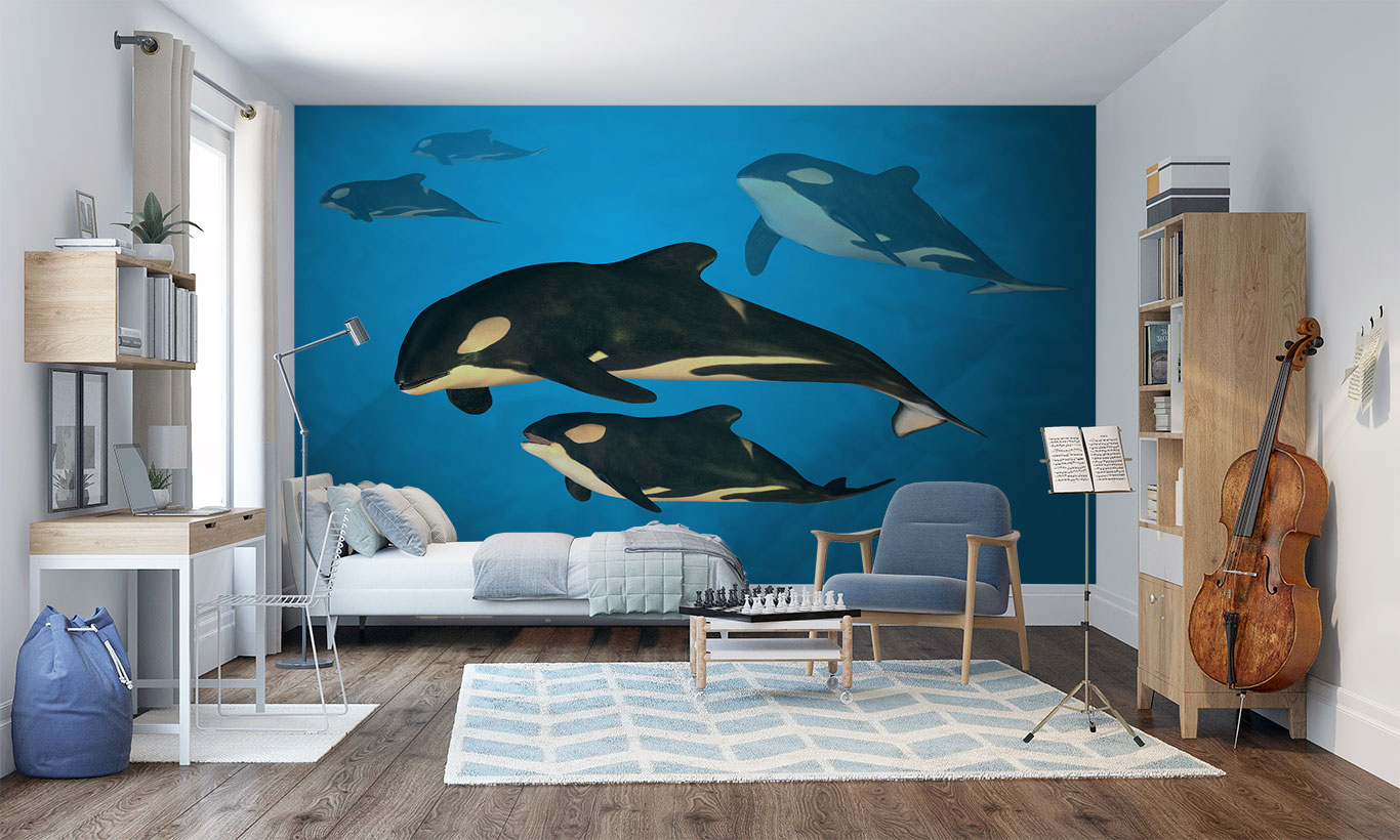 Detail Orca Wallpaper Nomer 40