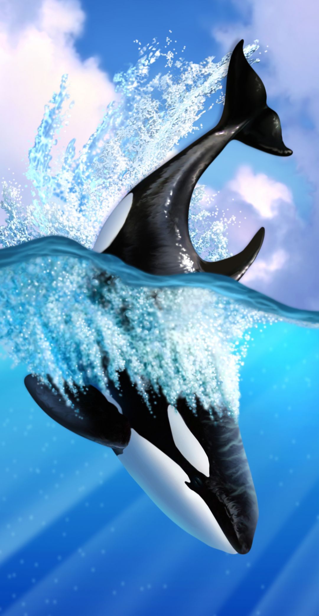 Detail Orca Wallpaper Nomer 53