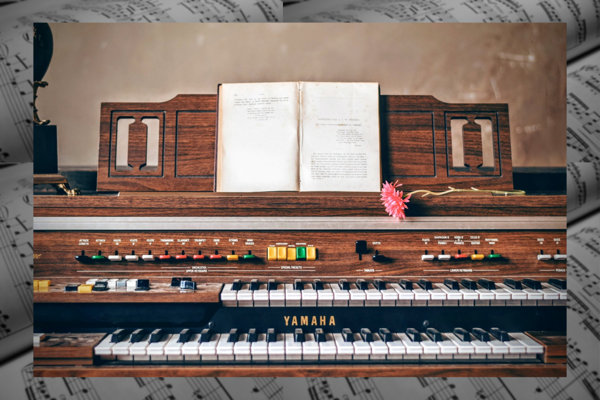 Detail Organ Alat Musik Nomer 20