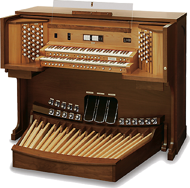 Detail Organ Alat Musik Nomer 7