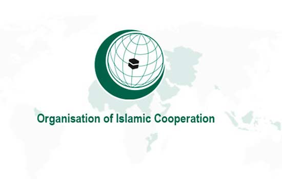 Detail Organisasi Kerjasama Islam Nomer 12