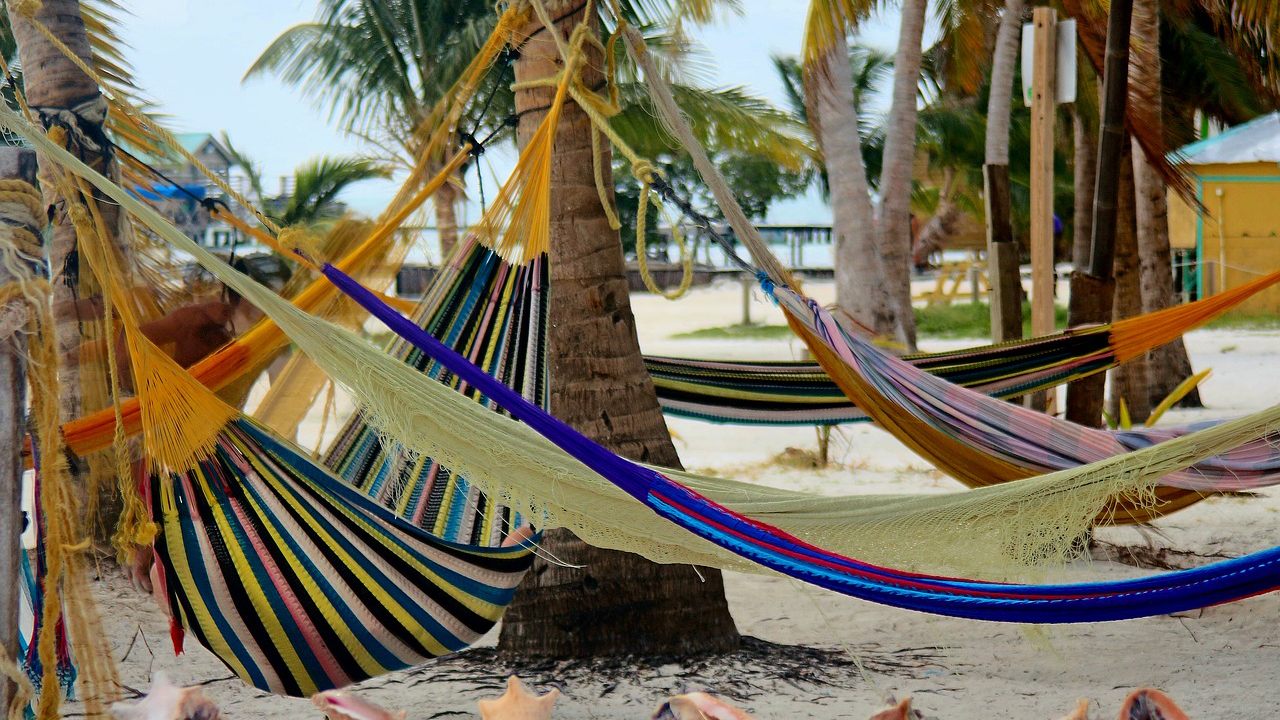 Detail Origin Of The Word Hammock Nomer 24